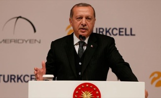 Cumhurbaşkanı Erdoğan: Milletimiz kendini dev aynasında görenlere sinek olduklarını gösterdi