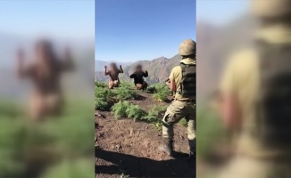 PKK'da çözülme sürüyor