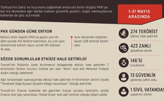 Terör örgütü PKK'ya 5 ayda ağır darbe vuruldu