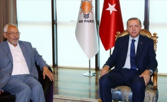 Cumhurbaşkanı Erdoğan, Nahda Hareketi lideri Gannuşi'yi kabul etti