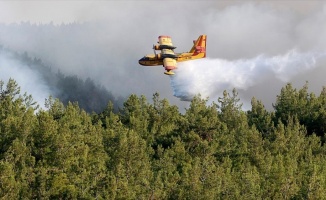 İzmir'deki orman yangınına 2 bin personelle müdahale ediliyor