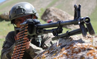 Şırnak'ta 2 PKK'lı terörist etkisiz hale getirildi