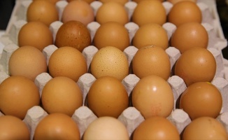 Fransa'da böcek ilaçlı yumurtalı ithal eden şirket sayısı 14'e ulaştı