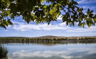 OSB&#039;de Badem ekiyor &#039;burs biçiyorlar&#039;
