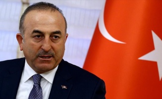 Dışişleri Bakanı Çavuşoğlu: Konsolosluk görevlisi hakkında ciddi suçlamalar var