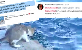 Ruhat Mengi, sosyal medyada da &quot;Kedi-ekmek-deniz olayı&quot;nı böyle çarpıttı!