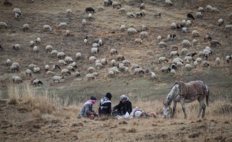 Doğu'da yayla hasreti sona eriyor