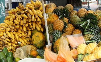 Gıda ticaretinin &#039;yeni yıldızı&#039; tropikal meyveler