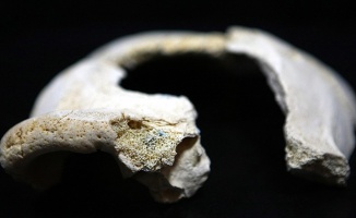Afrika dışında bilinen en eski modern insan fosili keşfedildi