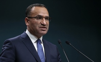 Başbakan Yardımcısı Bozdağ'dan 'Zeytin Dalı Harekatı' açıklaması