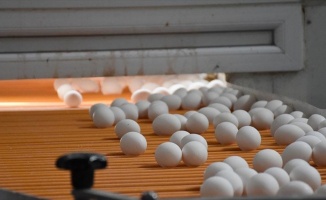 Yumurtacılar yeni pazarlara açılmak istiyor