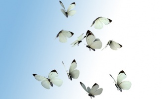 Sınava hazırlanan gençlere “ilkbahar“ uyarısı