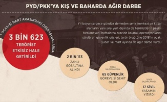 PYD/PKK'ya kış ve baharda ağır darbe
