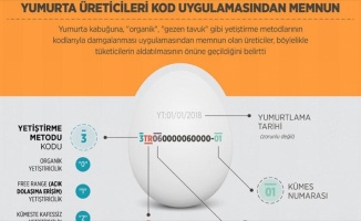 Yumurta üreticileri kod uygulamasından memnun! İşte, kodların anlamları