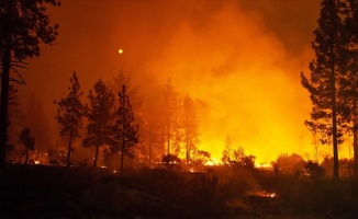 California&#039;daki yangınlar 50 bin kişiyi evinden etti