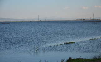 Baraj kapakları açıldı Amik Ovası su altında kaldı
