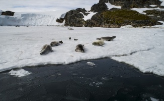 Bilim ve barış kıtası Antarktika&#039;da &#039;araştırma&#039; yarışı