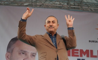 &quot;Avusturya’ya gidip Rabia ve bozkurt işaretleri yapacağım&quot;