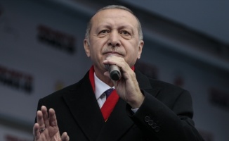 'Türkiye'de devşirme muhalefet sorunu var'