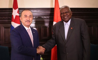 Çavuşoğlu, Küba Halkın Gücü Parlamento Başkanı ile görüştü