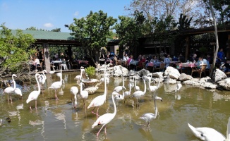 Flamingolu Köy&quot; Anneler Günü’nde ziyaretçi akınına uğradı