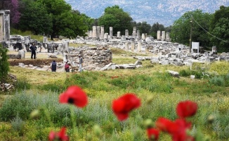 Lagina'nın sütunları ayağa kaldırılıyor