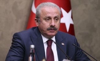 TBMM Başkanı Şentop: A Milli Futbol Takımı'na yönelik saygısızlık kabul edilemez