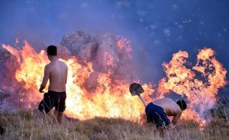 Bodrum&#039;da makilik alanda yangın çıktı