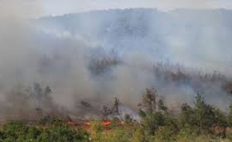 Keşan&#039;daki orman yangını söndürüldü