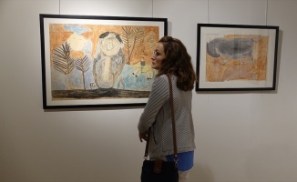 Türkiye'nin ilk 'ham sanat' müzesi açıldı