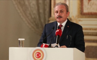 TBMM Başkanı Şentop: Türkiye'nin haklılığı tescil edilmiş oldu