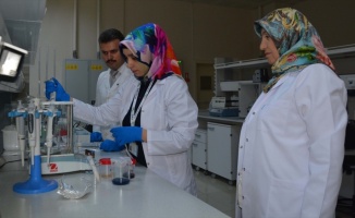 Atatürk Üniversitesinden akademisyenler &#039;çaşır&#039;dan krem üretti