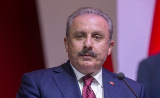 TBMM Başkanı Şentop: Amerika'nın Türkiye'nin güvenliğini düşündüğü yok
