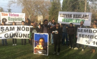 Hayvanseverlerin fayton protestosu İBB karşısındaki parkta sürüyor