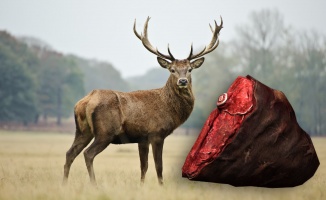 Rusya, Türkiye&#039;ye geyik eti satmayı planlıyor