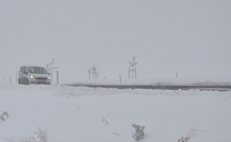 Ağrı, Kars ve Erzurum'da soğuk hava etkisini sürdürüyor