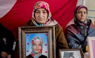 Diyarbakır annelerinden Akkuş: Kızım kokunu, sesini çok özledik