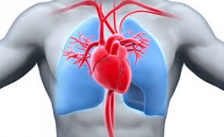 Medicana&#039;dan romatizmal kalp hastalığı değerlendirmesi