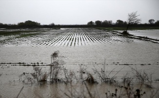 Mersin ve Antalya'da sağanak nedeniyle tarım arazileri sular altında kaldı