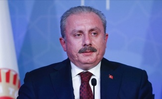 TBMM Başkanı Şentop'tan ırkçı Yunan milletvekiline kınama