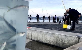 Beykoz&#039;da balıkçılar sahile akın etti