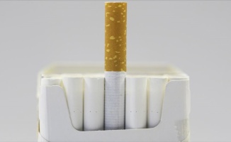 Sigara dünya genelinde yılda 8 milyon cana mal oluyor