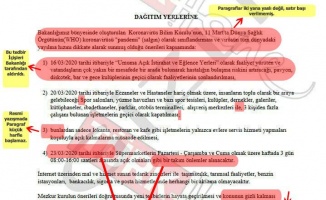 Koronavirüs &#039;gizli belge&#039; görseline soruşturma! İşte Bakan Koca&#039;nın açıklaması ve &quot;Belge&quot;deki ayrıntılar