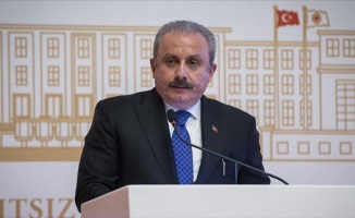 TBMM Başkanı Şentop: Cumhurbaşkanı'na karşı hakaretlerin Meclis çatısı altında yeri yoktur