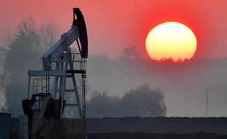 Brent petrolün varili 30 doların altına düştü