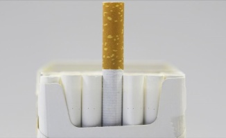Sigara virüsün hücreye yapışmasını kolaylaştırıyor
