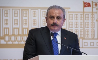 TBMM Başkanı Şentop: Meclisimizin vermiş olduğu kararı isabetli buluyorum