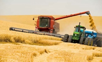 ABD, Rusya için rekor buğday hasadı öngördü