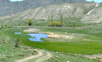 Erzurum'un 'yüzen adaları'na turizm yatırımı