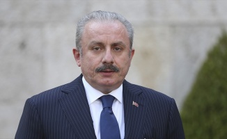 Şentop Irak Meclis Başkanı el-Halbusi ile görüştü